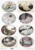 Louis Icart, malarstwo z kobietami, Art Deco*Louis Icart, painting with women, art deco*Louis Icart, Malerei mit Frauen, Art Deco*Louis Icart, pintura con mujeres, art decóLouis Icart, malarstwo z kobietami, Art Deco*Louis Icart, painting with women, art 